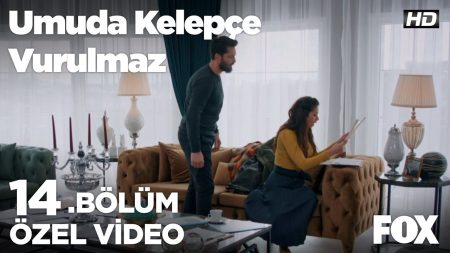 İnci