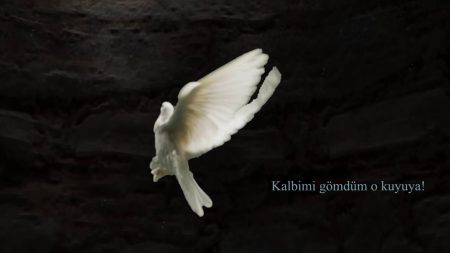 Güvercin İlk Tanıtım!
