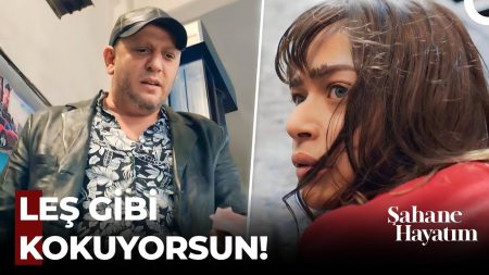 Şahane Hayatım 1. Bölüm - Şebnem'in Eziyet Dolu Geçmişi